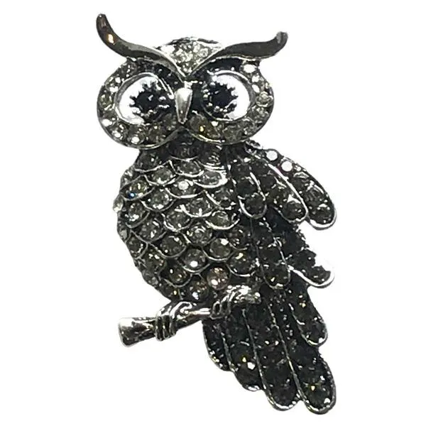Magic Magnetic Brooch
