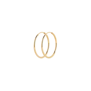 Senorita 20 Hoop (pair), Gold High Polished